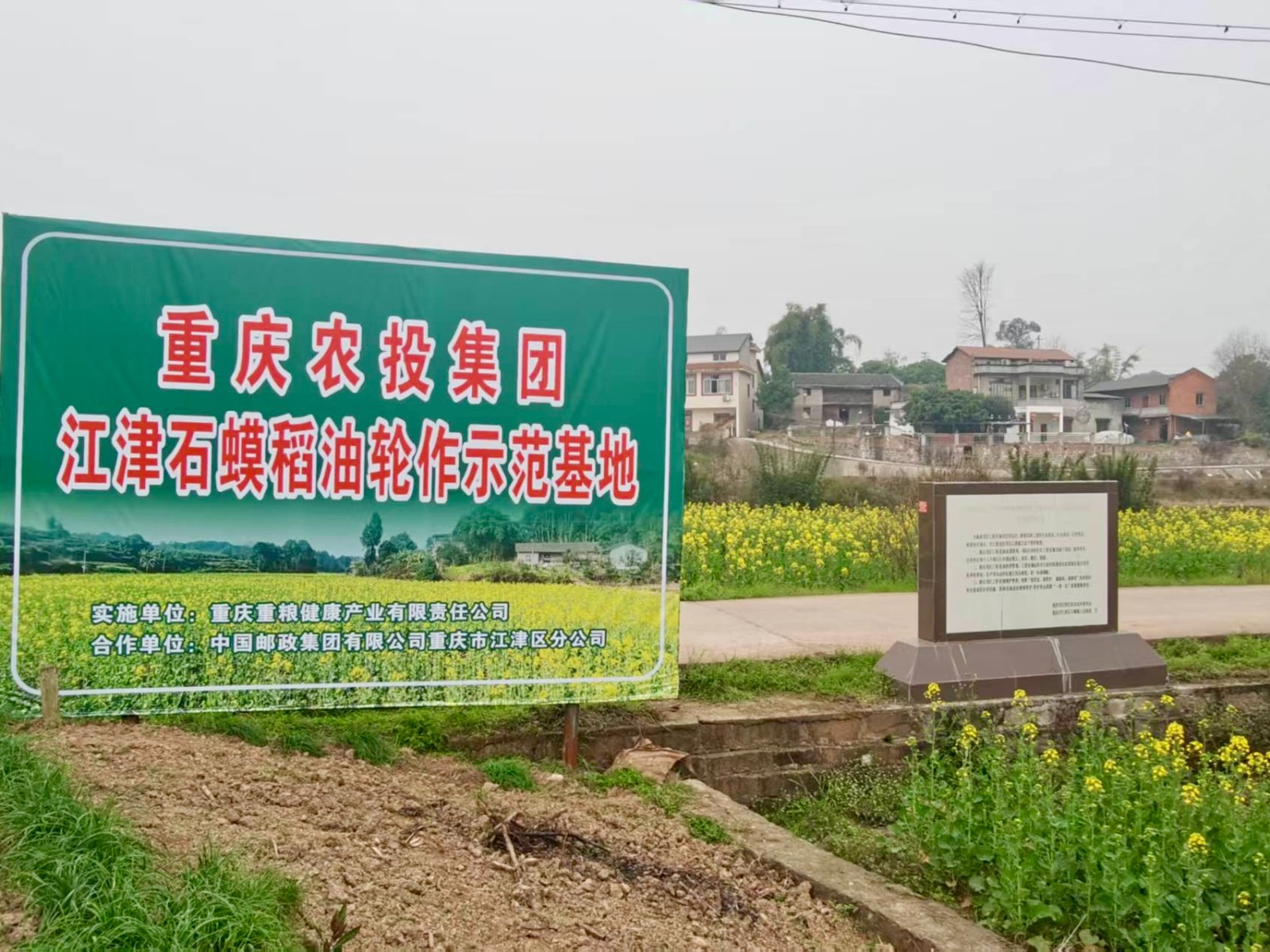 1741570550490870.jpg 76d81686595418552e4733e8e91df78.jpg