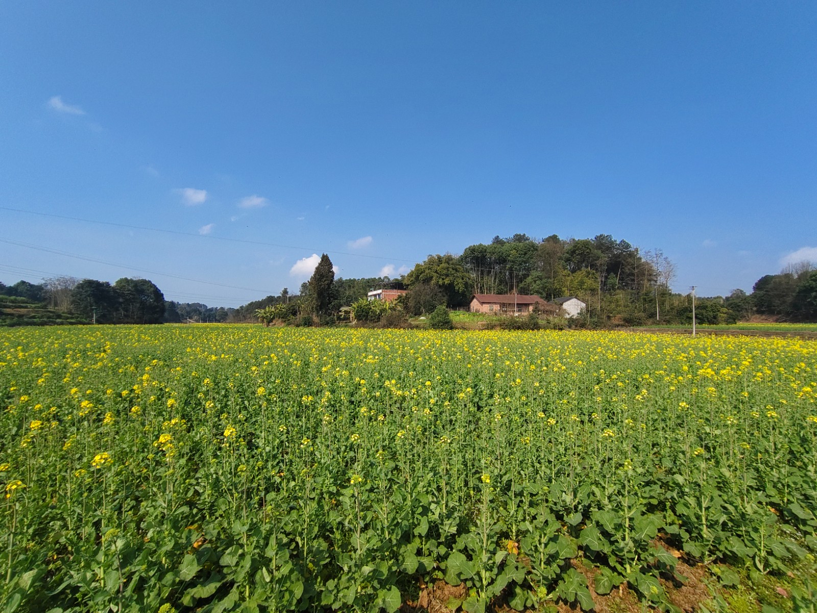 1741570624744898.jpg 微信圖片_20250228092629.jpg